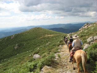 randonne cheval auvergne ardeche