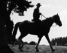prtit cheval