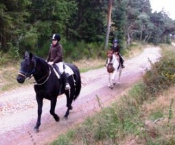 sejour cheval et nature rando cheval auvergne