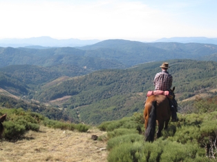 tourisme questre auvergne ardeche