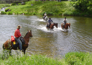 randonne cheval auvergne haute chaume